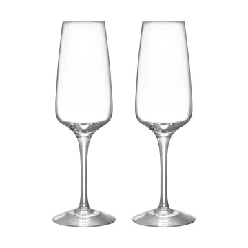 Pulse champagneglas 28 cl 2-pack - Klar - Orrefors
