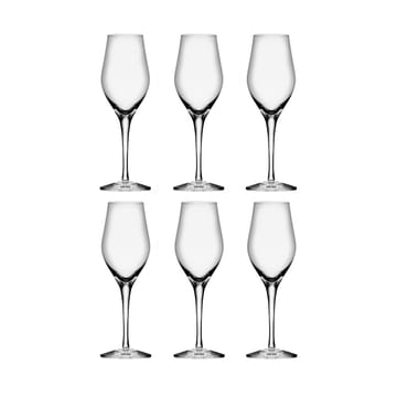Sense champagneglas 25,5 cl 6-pack - Klar - Orrefors