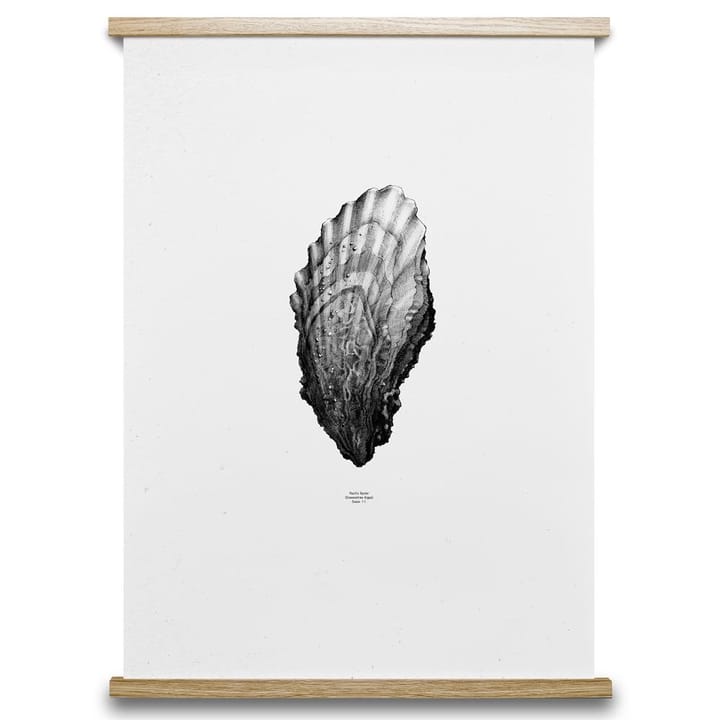 1:1 Oyster poster - 50x70 cm - Paper Collective