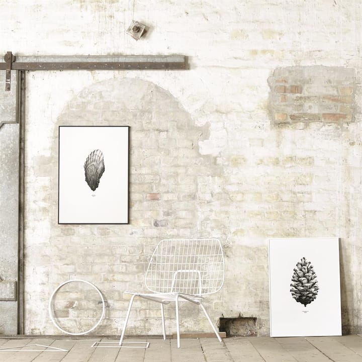 1:1 Pine Cone poster - vit, 50x70 cm - Paper Collective