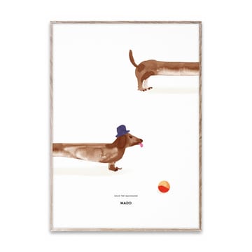 Doug the Dachshund poster - 50x70 cm - Paper Collective