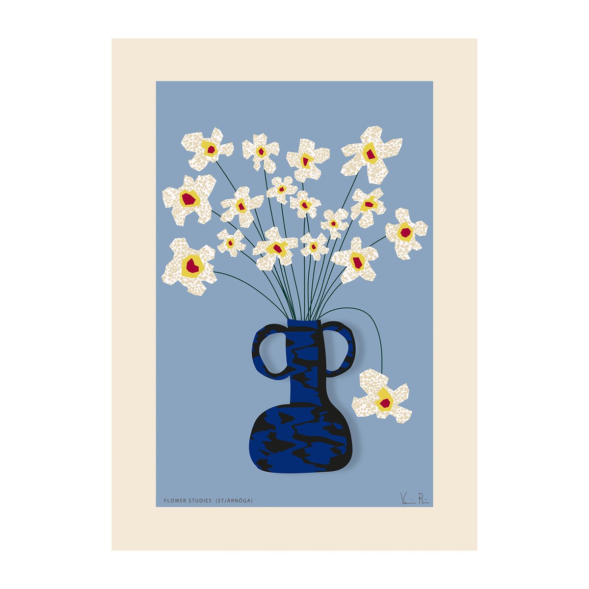 Paper Collective Flower Studies 04 (Stjärnöga) poster 30x40 cm