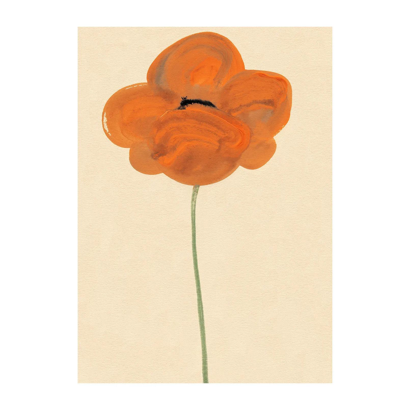 Orange Vallmo poster, 50x70 cm