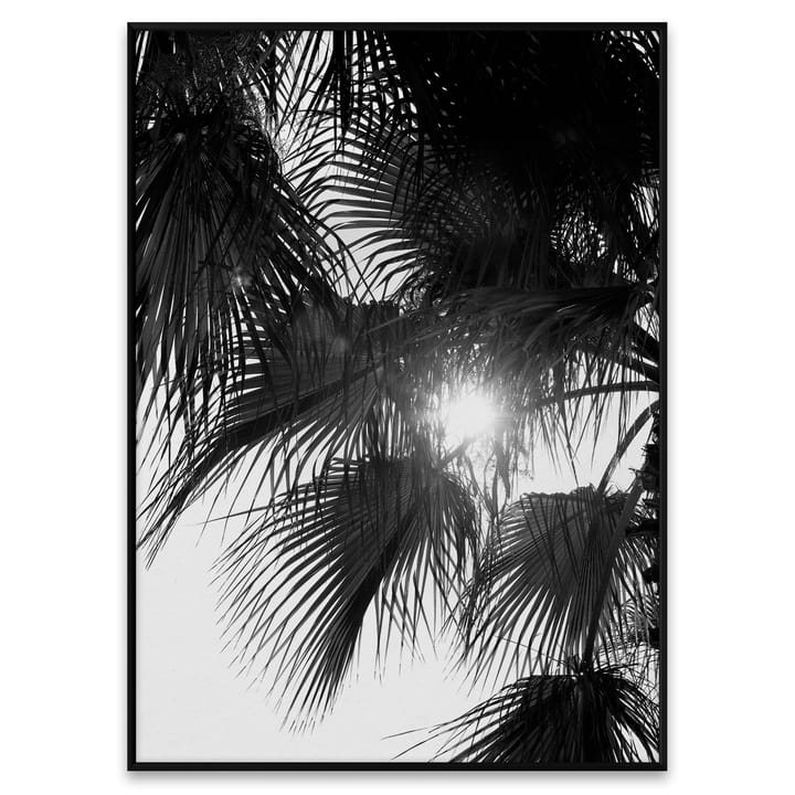 Palm Trees poster - 50x70 cm - Paper Collective
