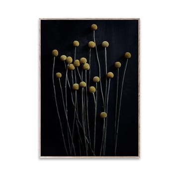 Still Life 01 Yellow Drumsticks poster - 30x40 cm - Paper Collective