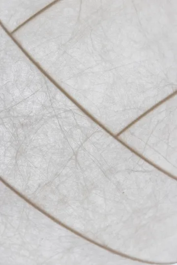 Turner 80 pendel - Vit - Pholc