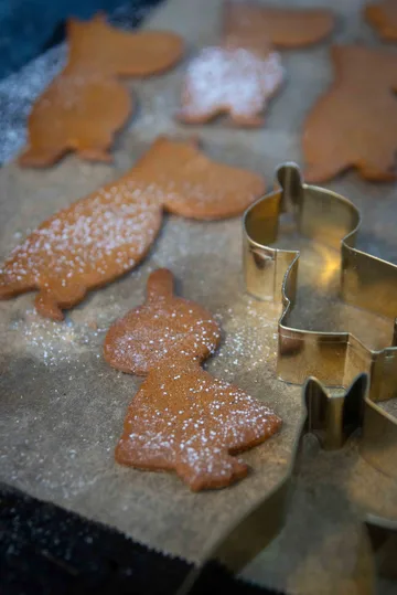 Mumin vinter pepparkaksform 3 delar - Lilla My Muminpappan, Mumintrollet - Pluto Design