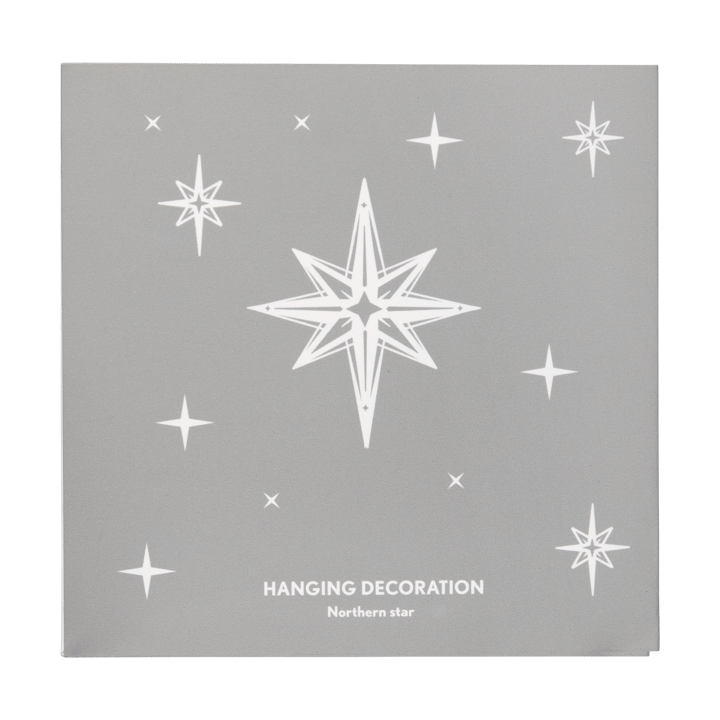 Northern Star L julhänge, Silver Pluto Design