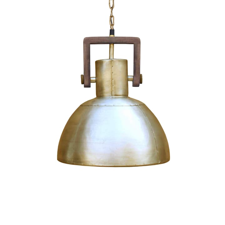 Ashby single taklampa Ø39 cm - Pale Gold - PR Home