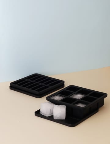 FREEZE-IT iskubsform med lock - 2,5x19x19 cm - RIG-TIG