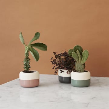 PLANT-IT örtkruka Ø8.5 cm - rosa - RIG-TIG