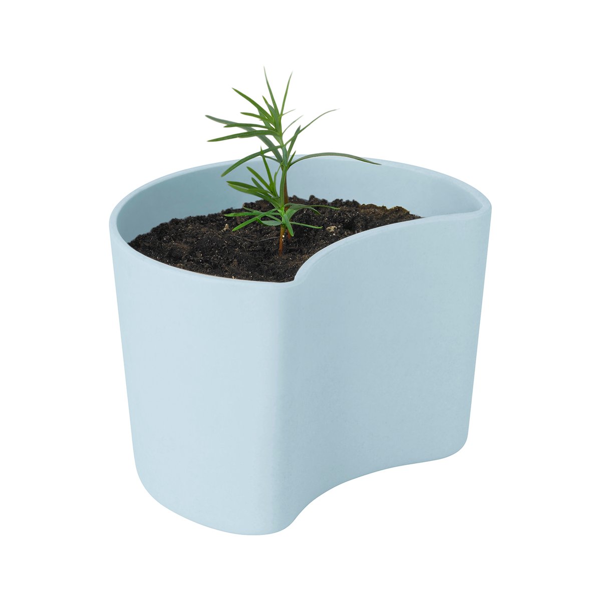 RIG-TIG YOUR TREE kruka med frön Blå (Tall) | Skandinavisk Design | Krukor | Blå