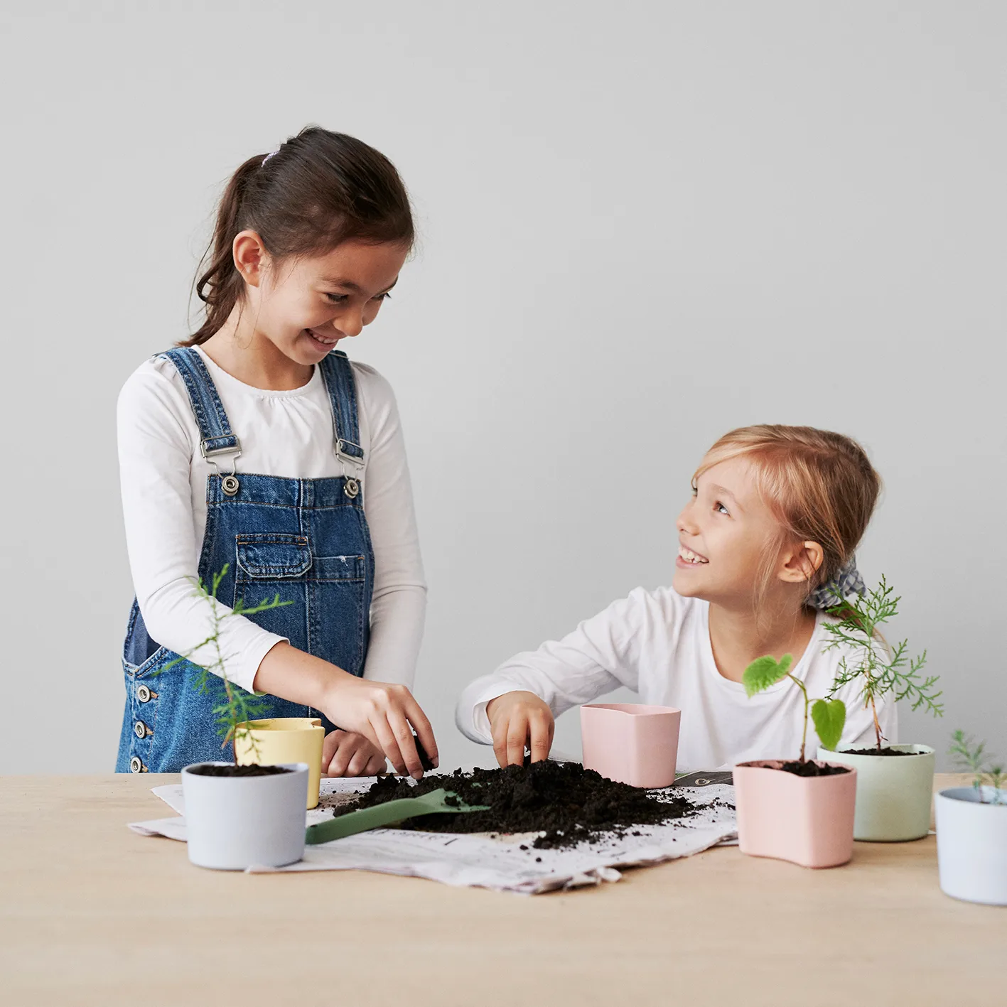 YOUR TREE kruka med frön, Gul (Björk) RIG-TIG