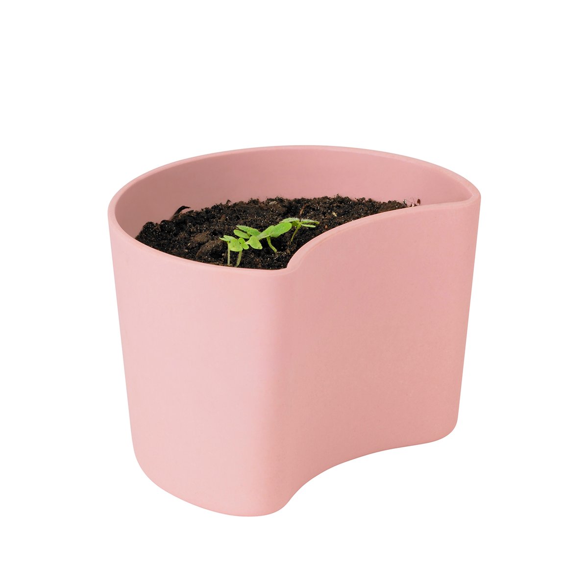 RIG-TIG YOUR TREE kruka med frön Rosa (Björk) | Skandinavisk Design | Krukor | Rosa