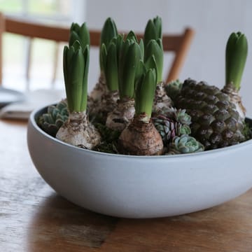 Bowl no. 10 - Ash grey - Ro Collection