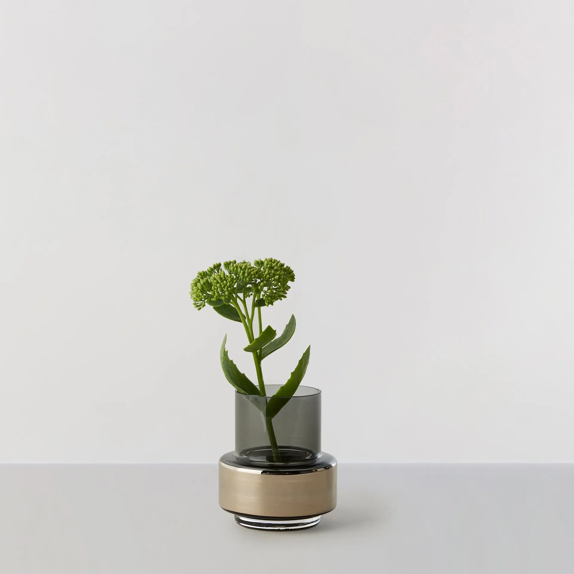 Hurricane smoked tealight no. 25, Platinum Ro Collection