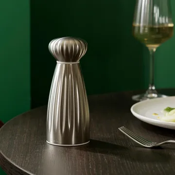 Palm Satin saltkvarn - Small-rostfritt stål - Robert Welch