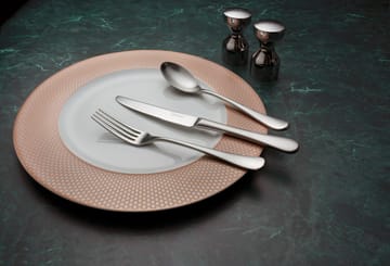 Radford matkniv matt - Rostfritt stål - Robert Welch