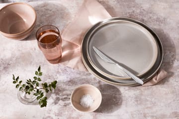 Sandstone förrättskniv blank - Rostfritt stål - Robert Welch