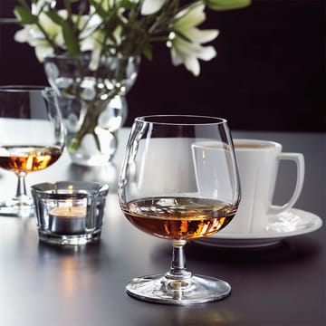 Grand Cru konjaksglas 2-pack - klar 2-pack - Rosendahl