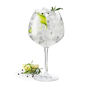 Premium ginglas 93 cl 2-pack - Klar - Rosendahl