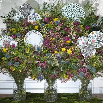 Magic Garden Foliage tallrik 21 cm - Vit-grön - Rosenthal