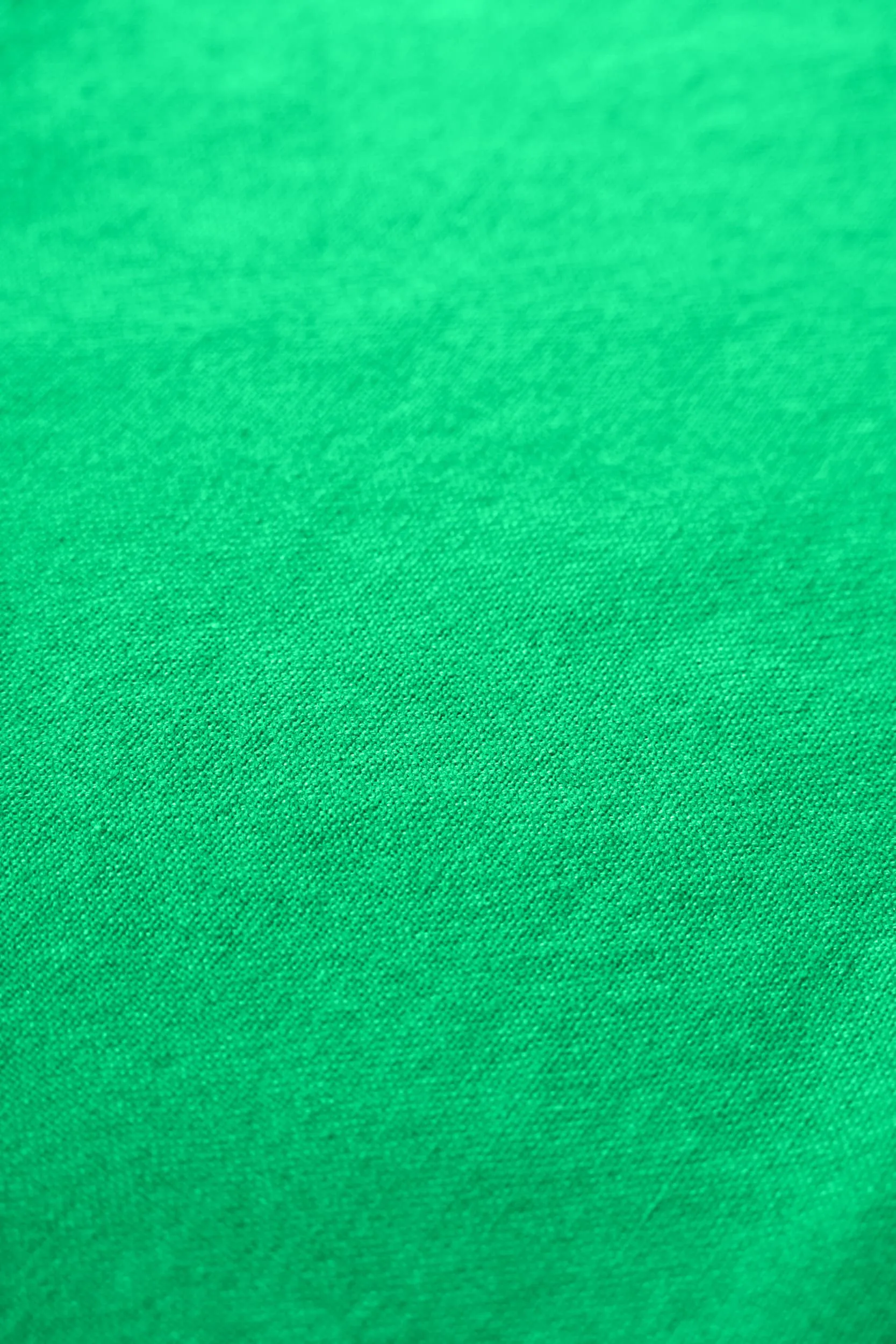 Rug Solid kökshandduk 50x70 cm, Racing green Rug Solid