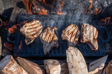 Satake stekbord för grill - 23x42 cm - Satake