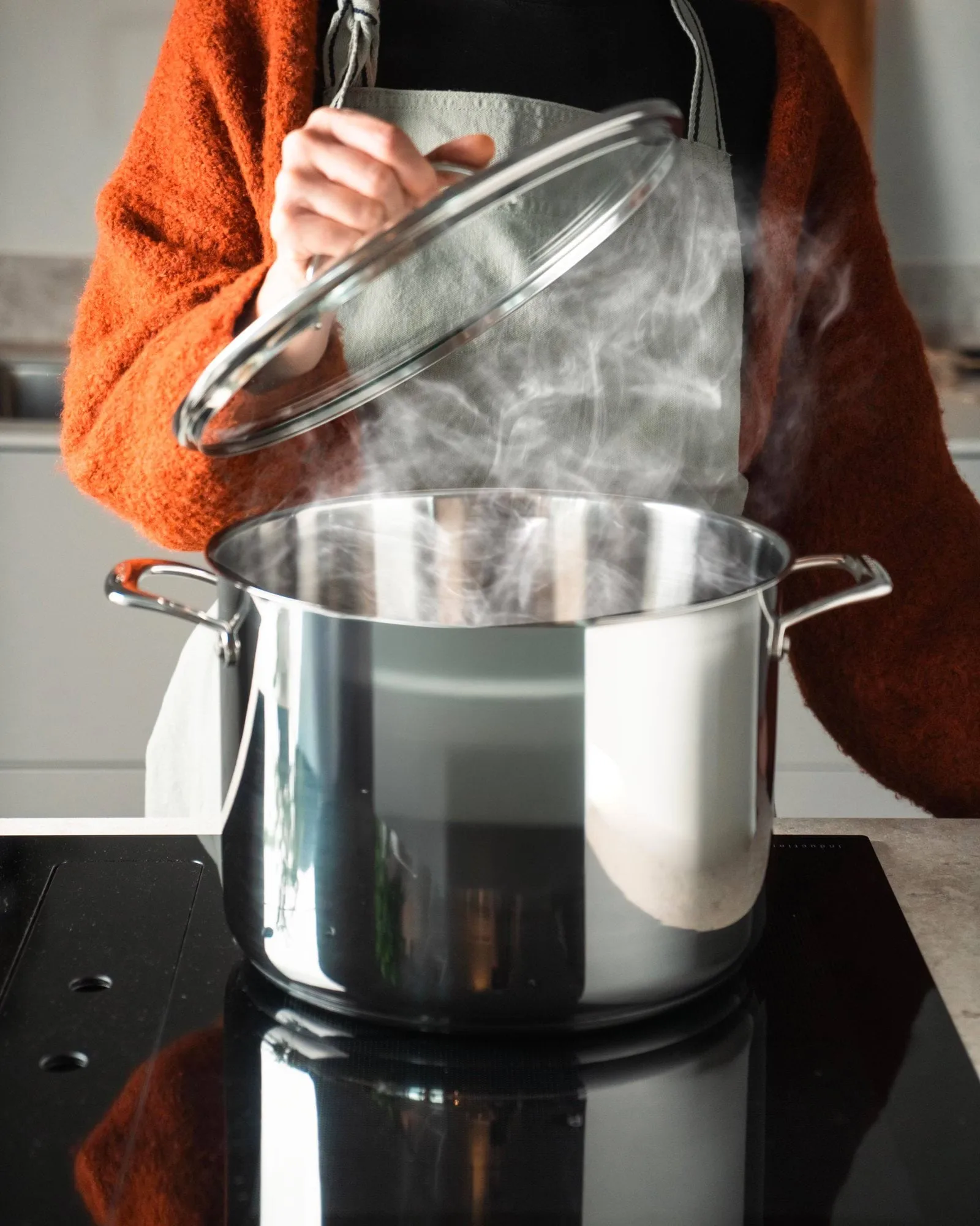 Scanpan STS gryta med lock, Hög, 15 L Scanpan