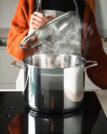 Scanpan STS gryta med lock - Hög, 15 L - Scanpan