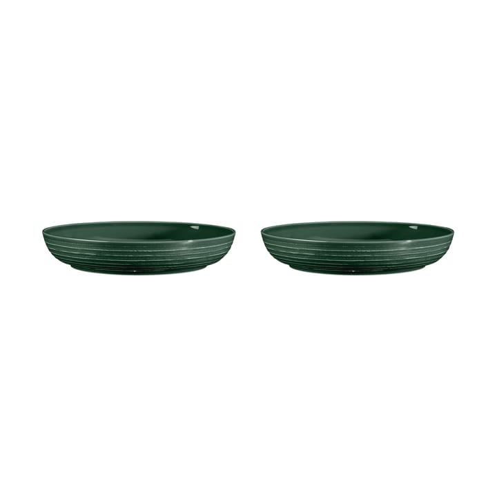 Terra skål Ø28 cm 2-pack - Moss Green - Seltmann Weiden