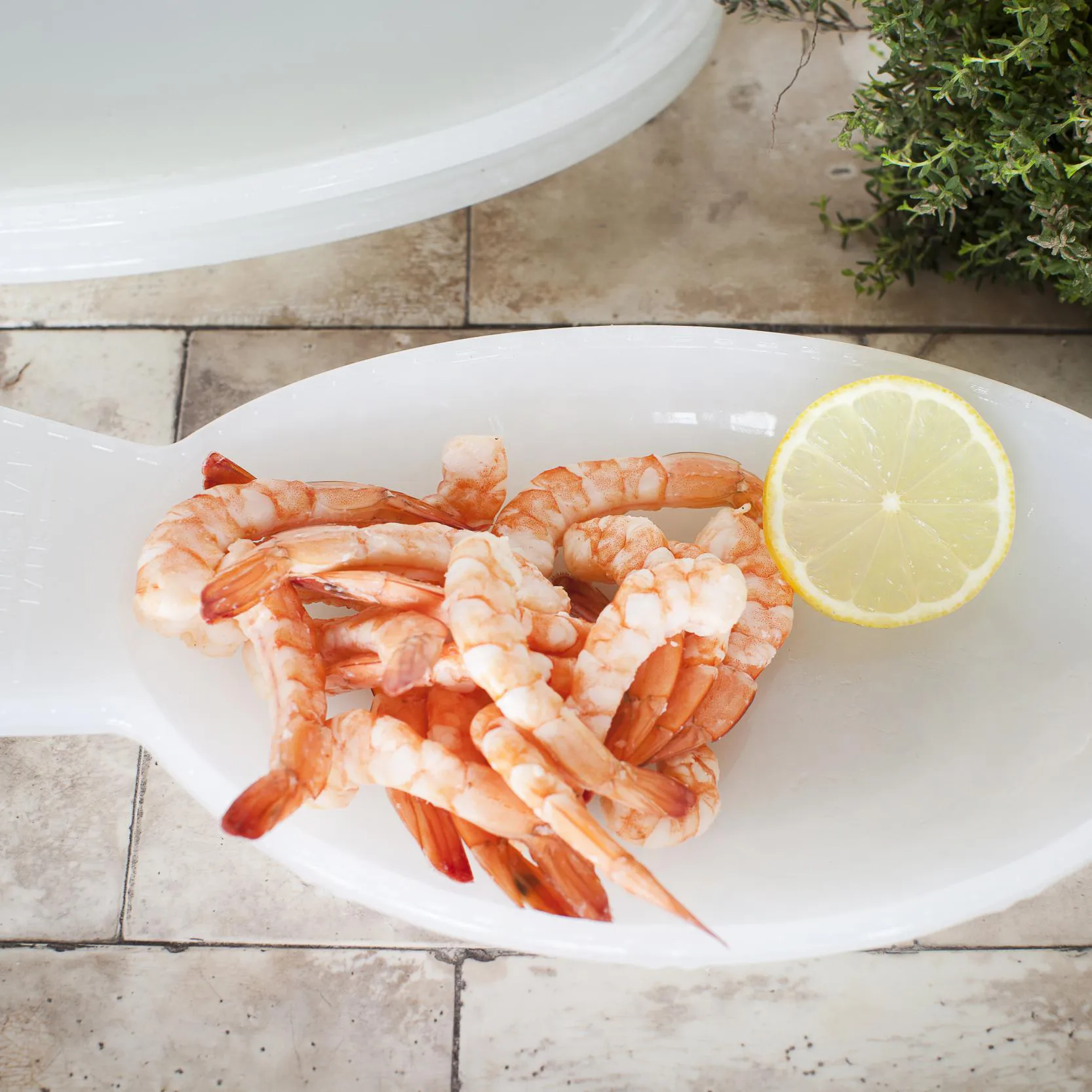 Fish & Fish serveringsfat 14x26 cm, Milky white Serax