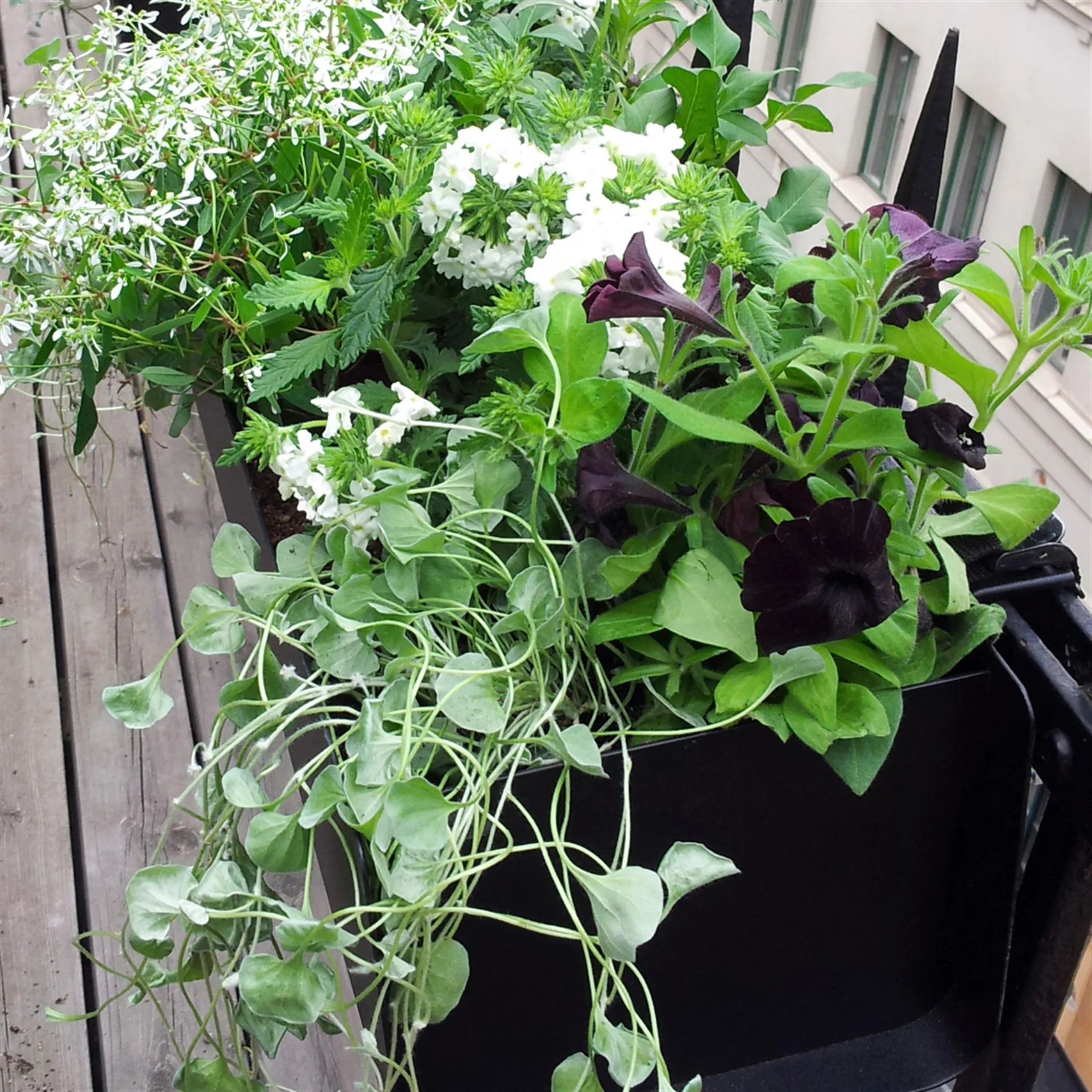 Jorda balkonglåda, Svart 100 cm SMD Design