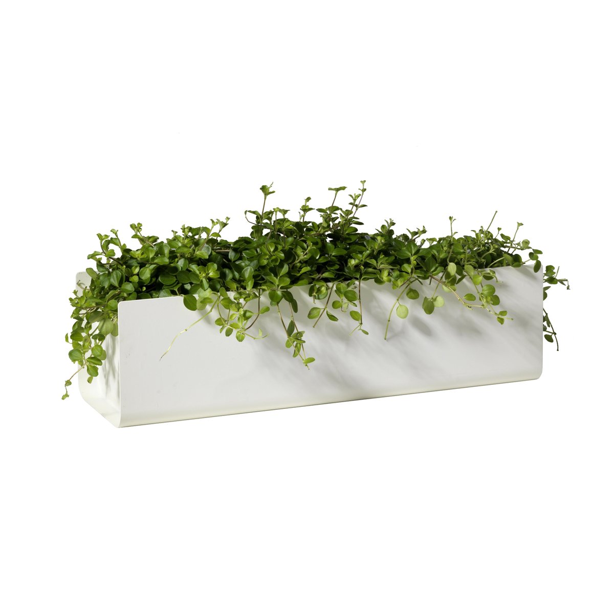 SMD Design Jorda balkonglåda Vit 60 cm | Skandinavisk Design | Krukor | Vit