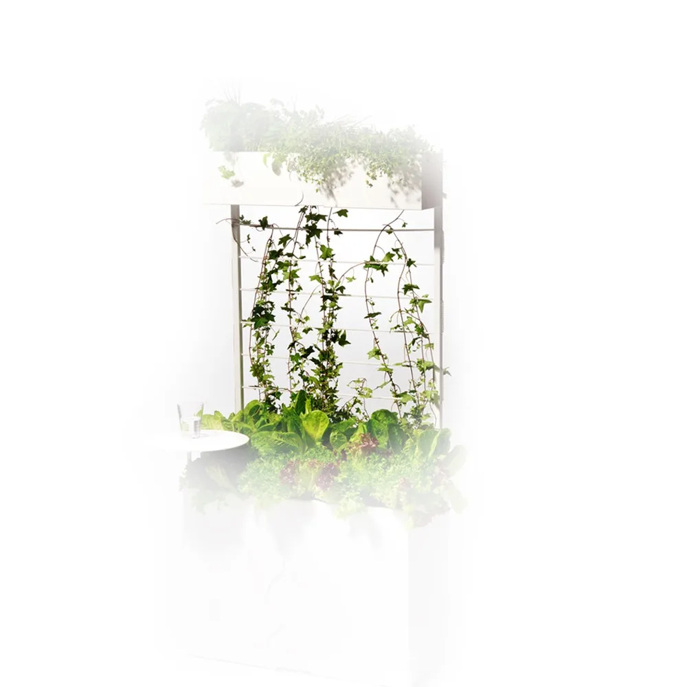 Urban spaljé, Vit SMD Design