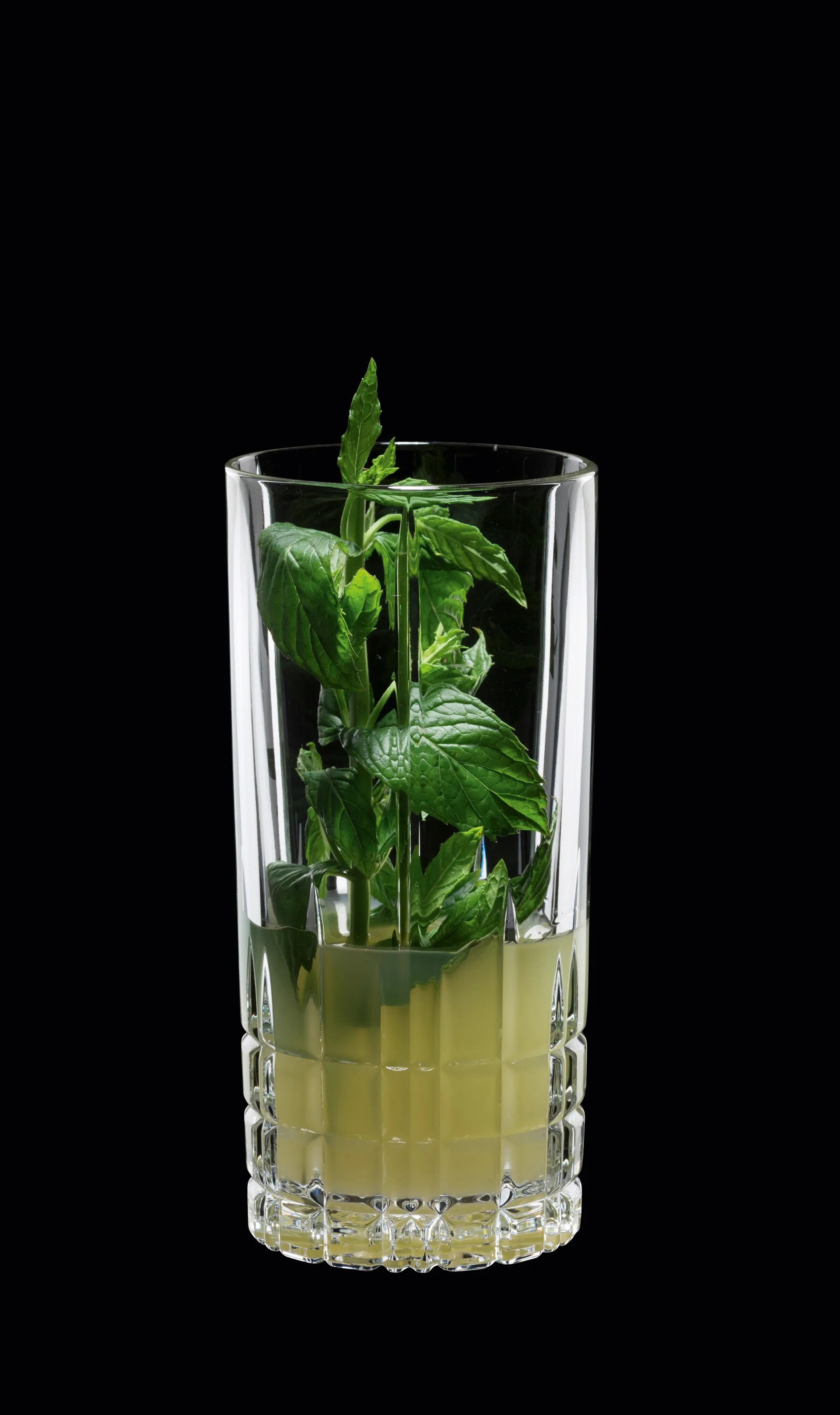 Perfect Serve Longdrinksglas 35cl , 4-pack, klar Spiegelau