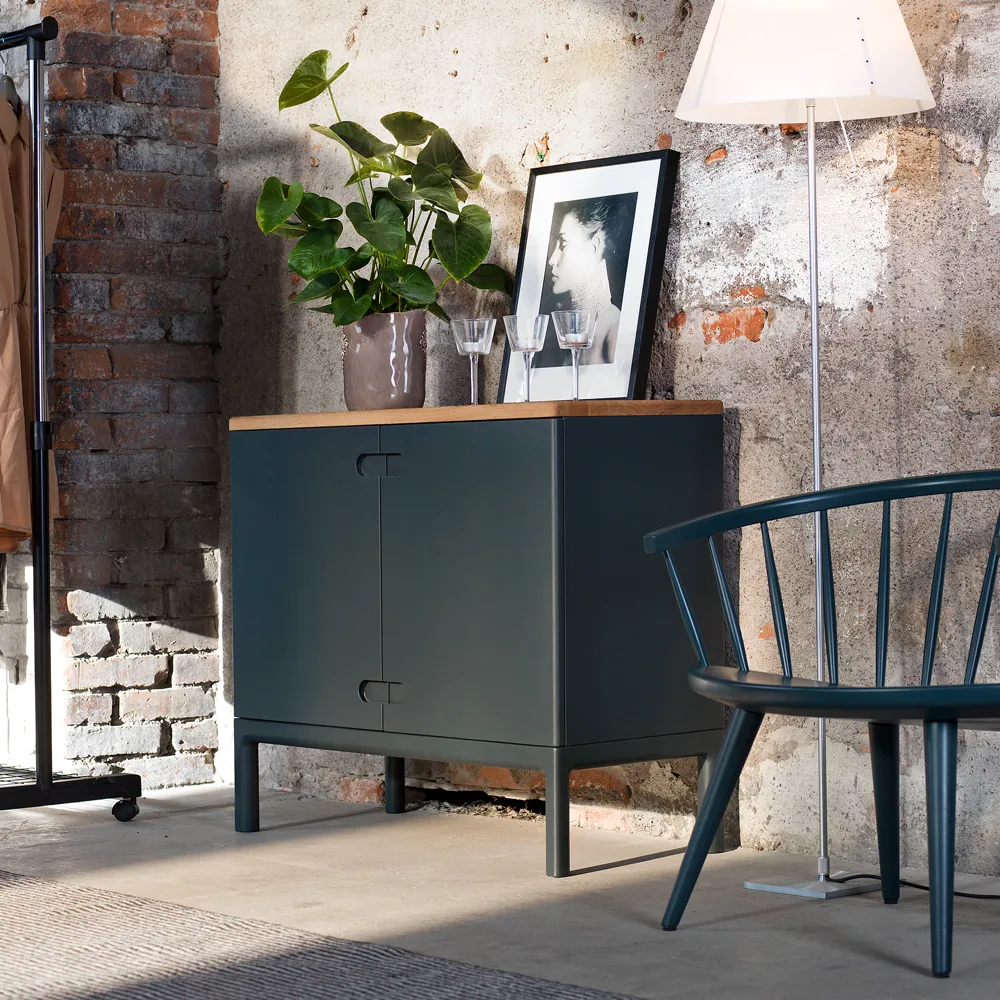 Prio skåp låg, björk vitolja, trädörr Stolab