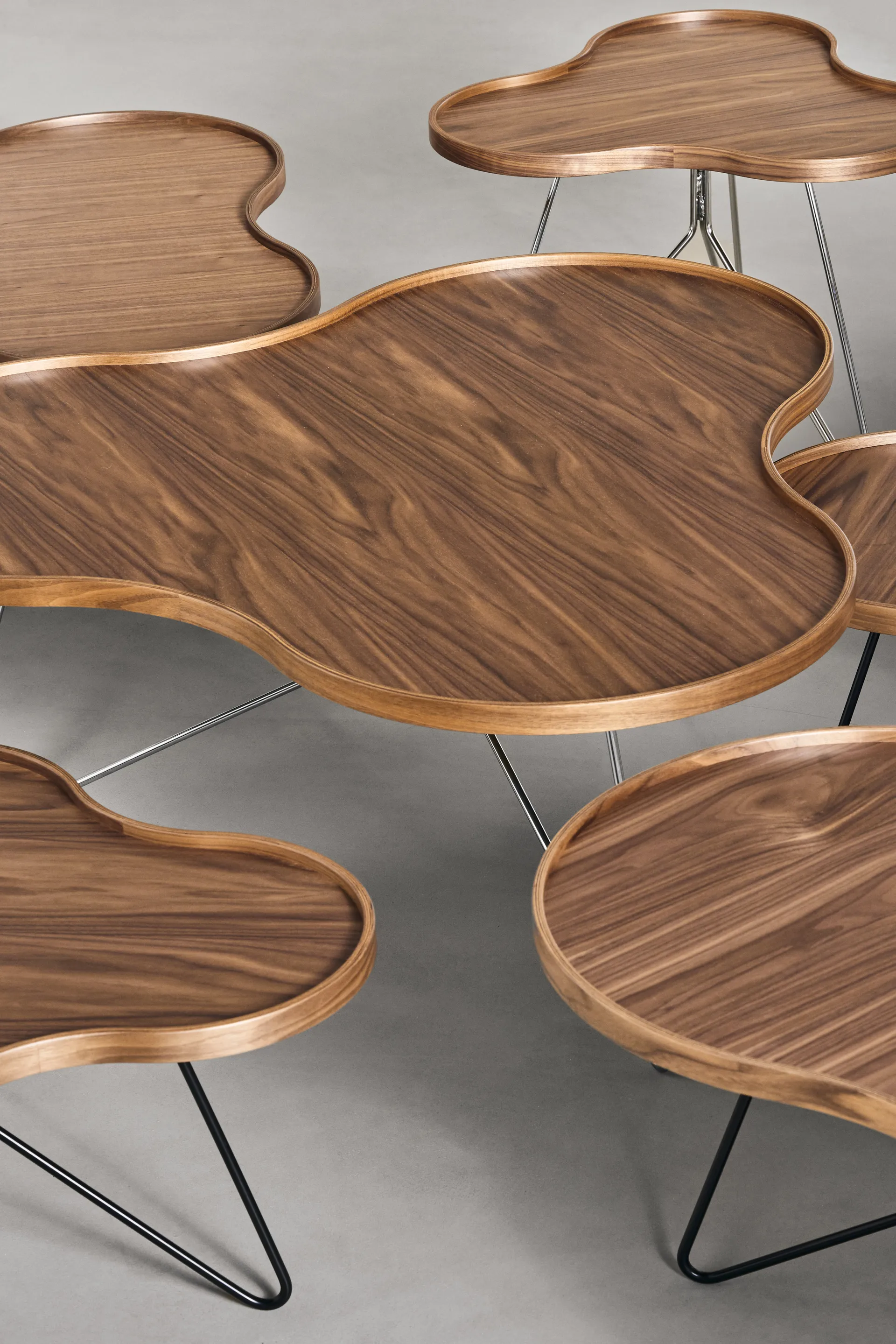 Flower mono bord Special Edition 84x90 cm, H39 cm-lackad valnöt-kromad stål Swedese