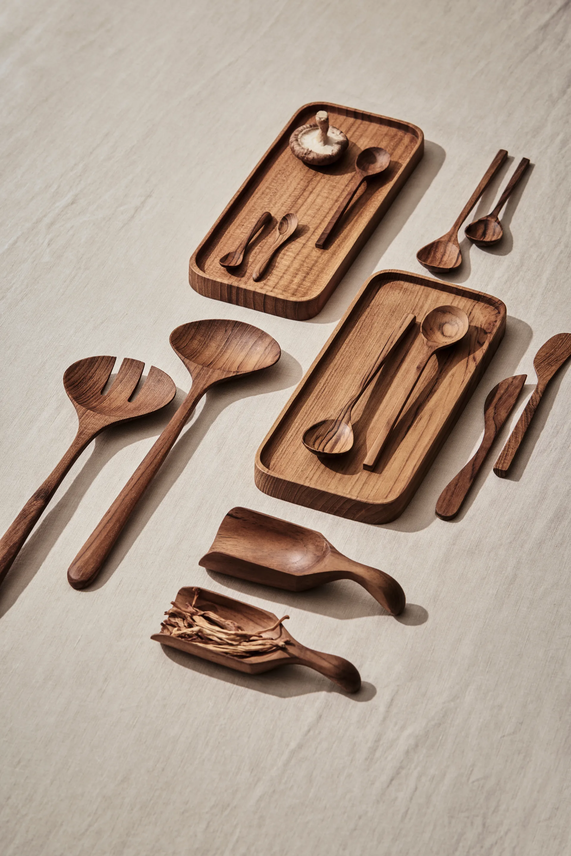 Teak skopa, Brun Tell Me More