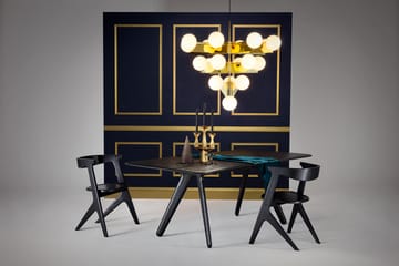 Slab matbord 96x200 cm - Black oak - Tom Dixon
