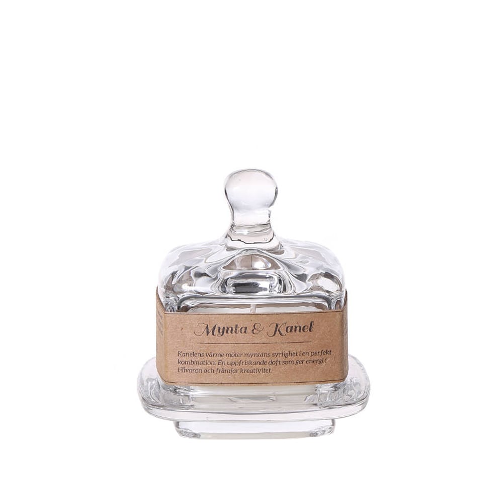 Torplyktan Spice pantry doftljus 100 g mynta & kanel