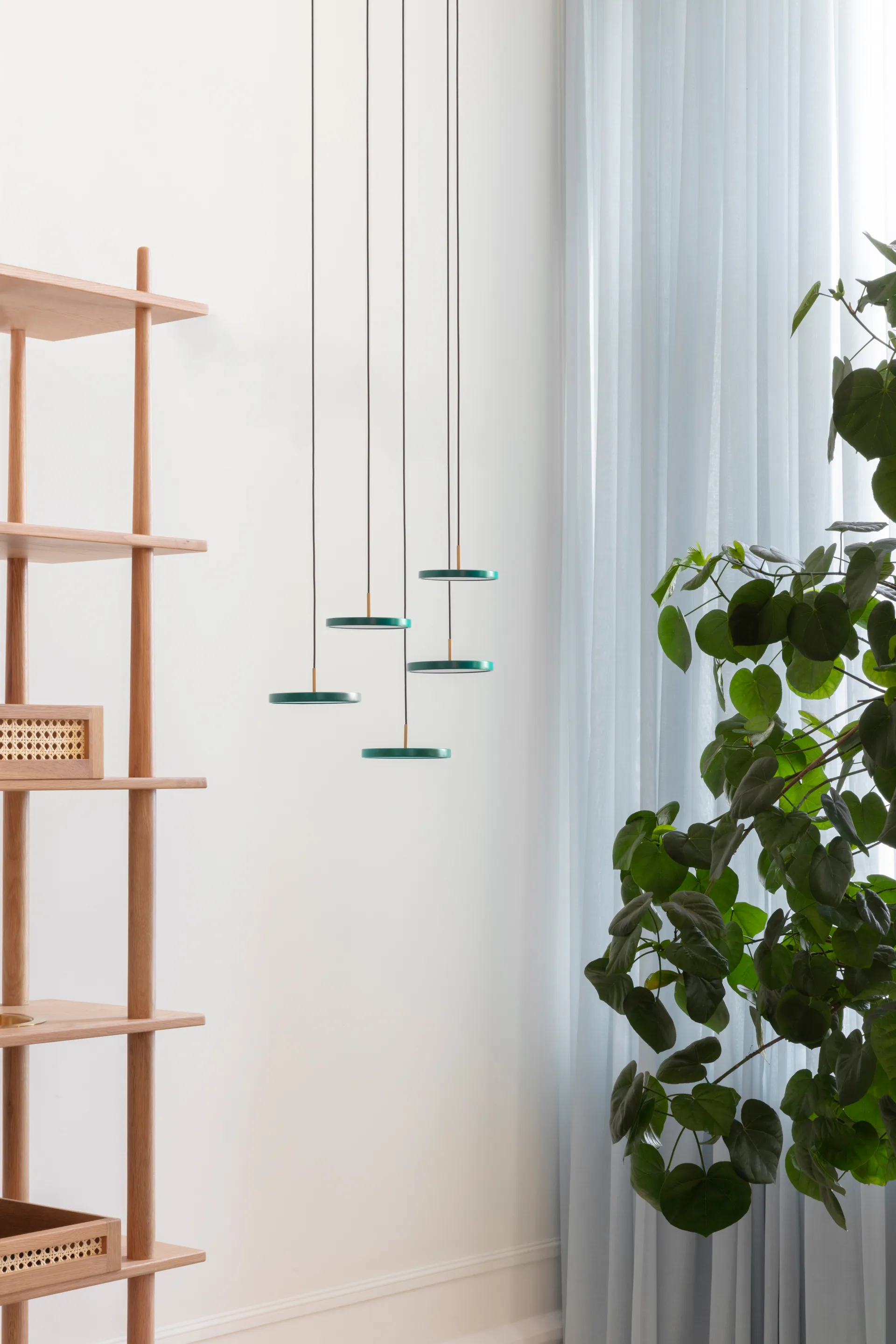 Asteria Micro taklampa, Forest Green Umage