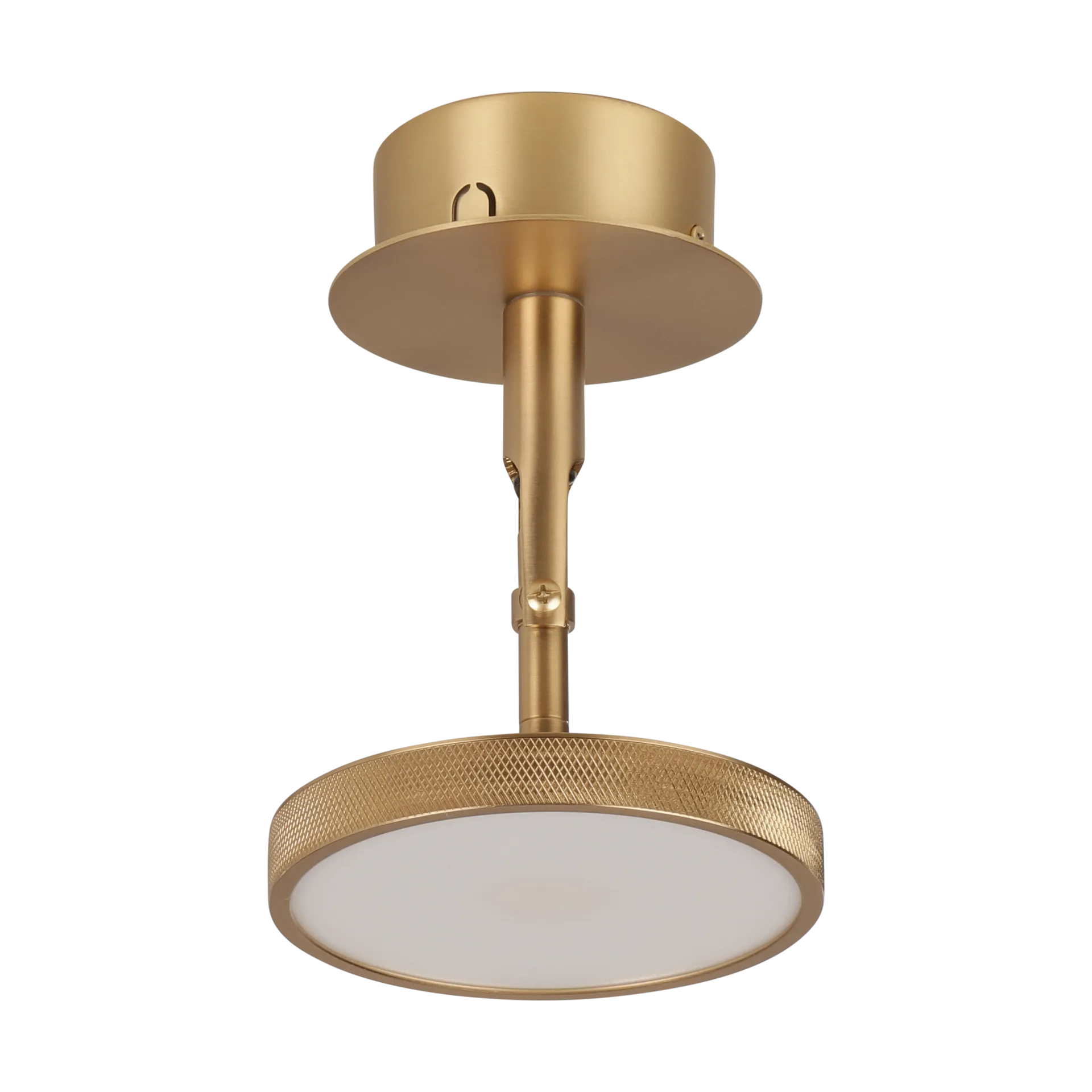 Asteria Spot tak-och vägglampa Ø12 cm, Polished brass Umage