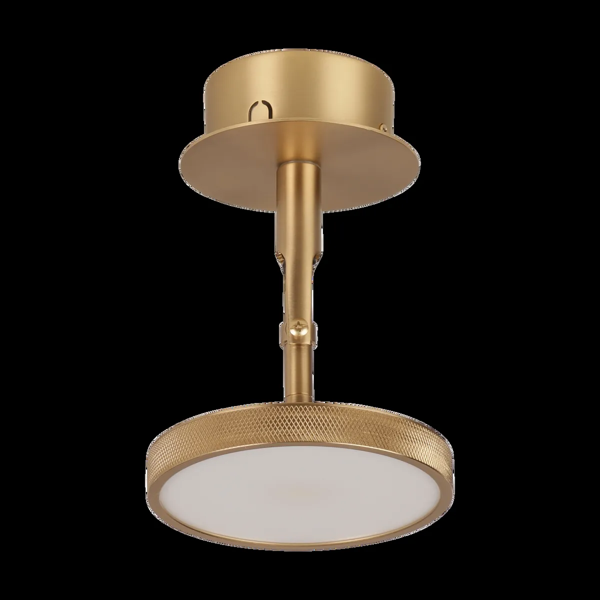 Umage Asteria Spot tak-och vägglampa Ø12 cm Polished brass