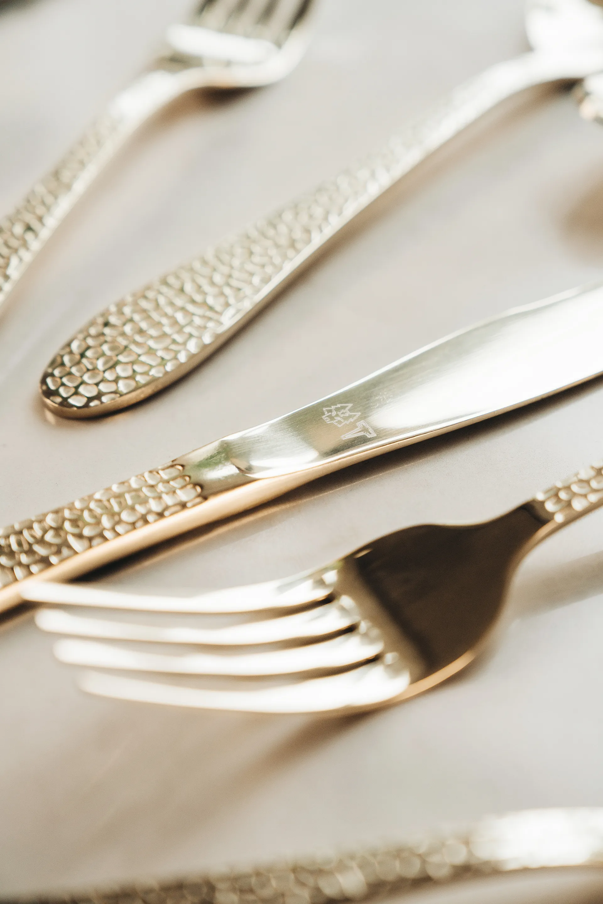 Vargen & Thor bestickset 16 delar, Aura, cava Vargen & Thor