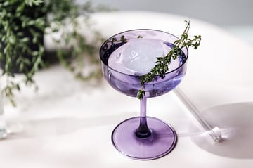 Like champagneglas coupe 10 cl 2-pack - Lavender - Villeroy & Boch