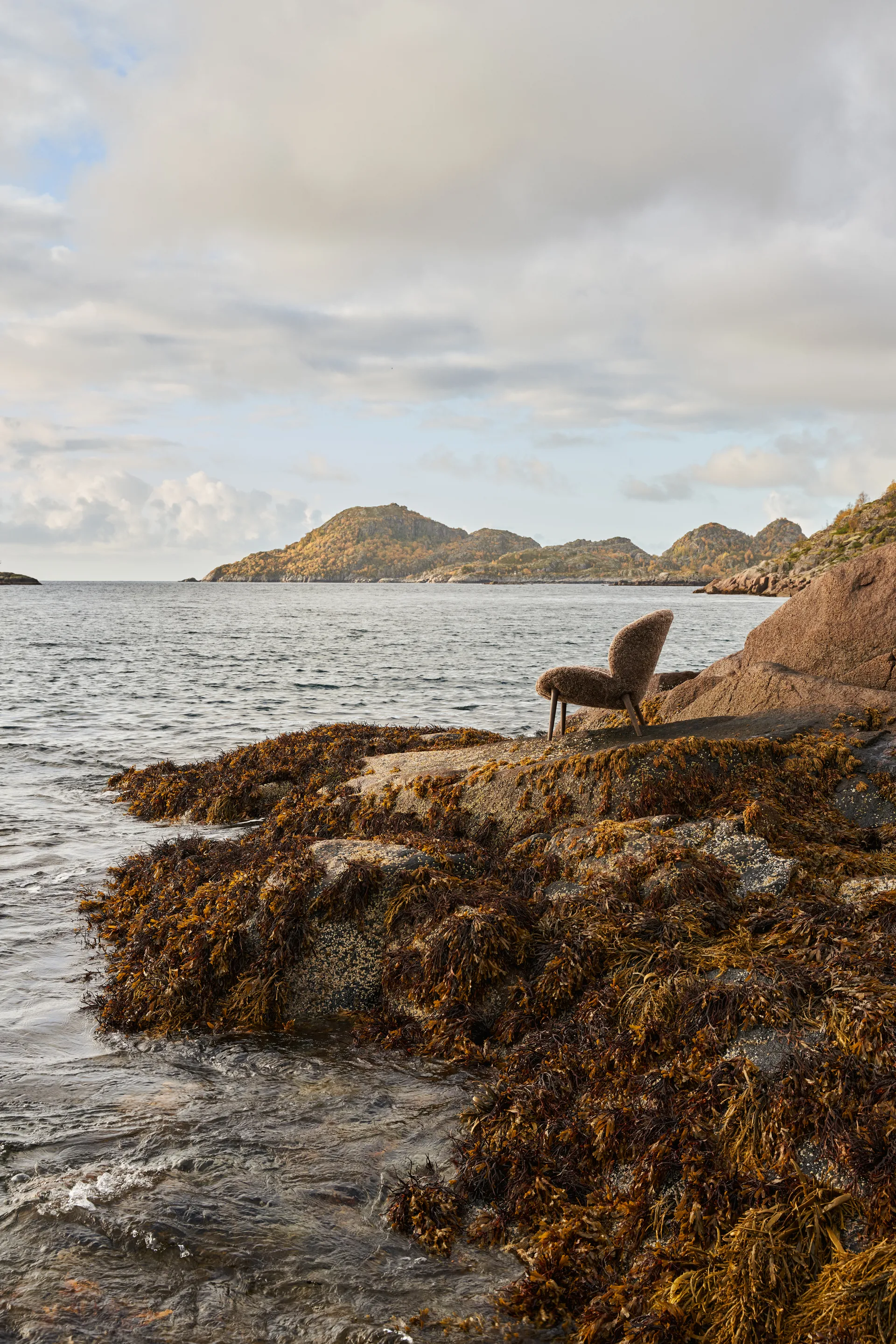 Vipp469 Lodge loungefåtölj low back, Curly 07 umber-dark oak Vipp