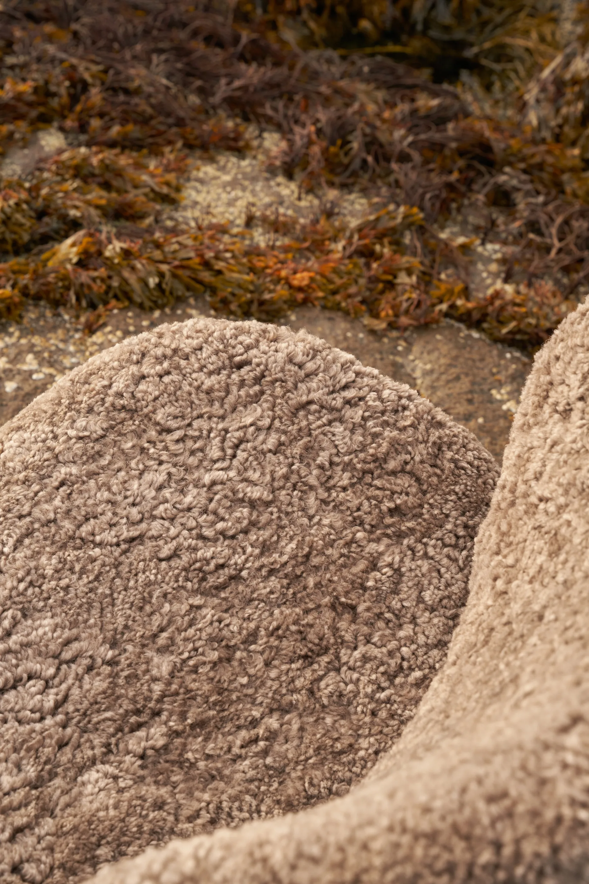 Vipp469 Lodge loungefåtölj low back, Curly 09 off white-dark oak Vipp