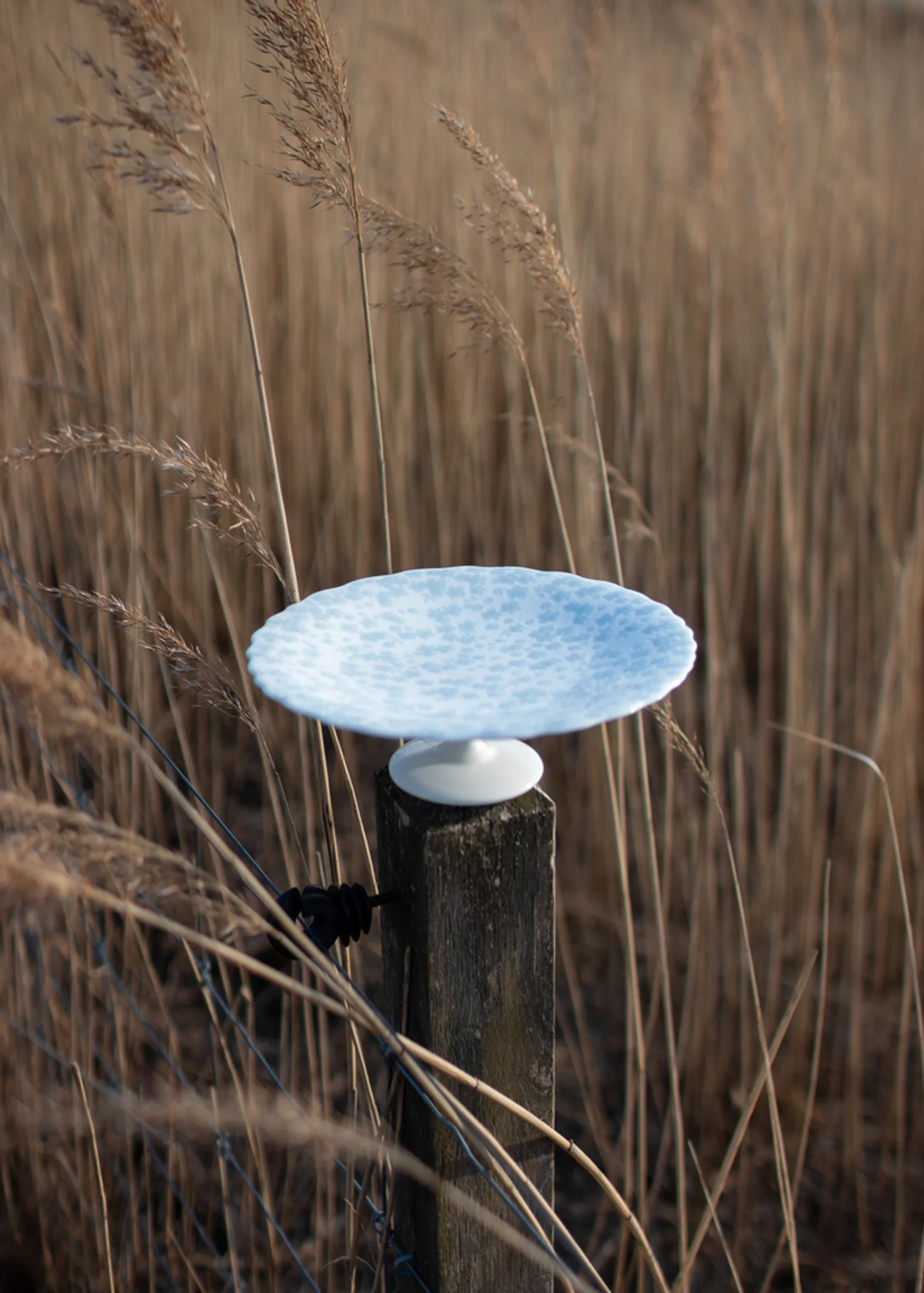 Slåpeblom tårtfat Ø21 cm, Blå Wik & Walsøe