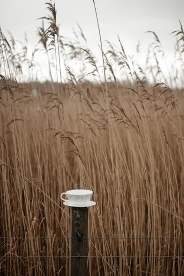 Slåpeblom tekopp och fat 30 cl - Grön - Wik & Walsøe